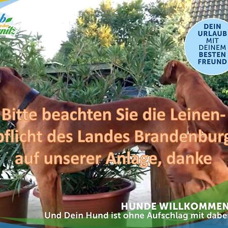 Jagd-Angler-Holzhaus-Im-Wald-Am-See Villa Kyritz Kültér fotó